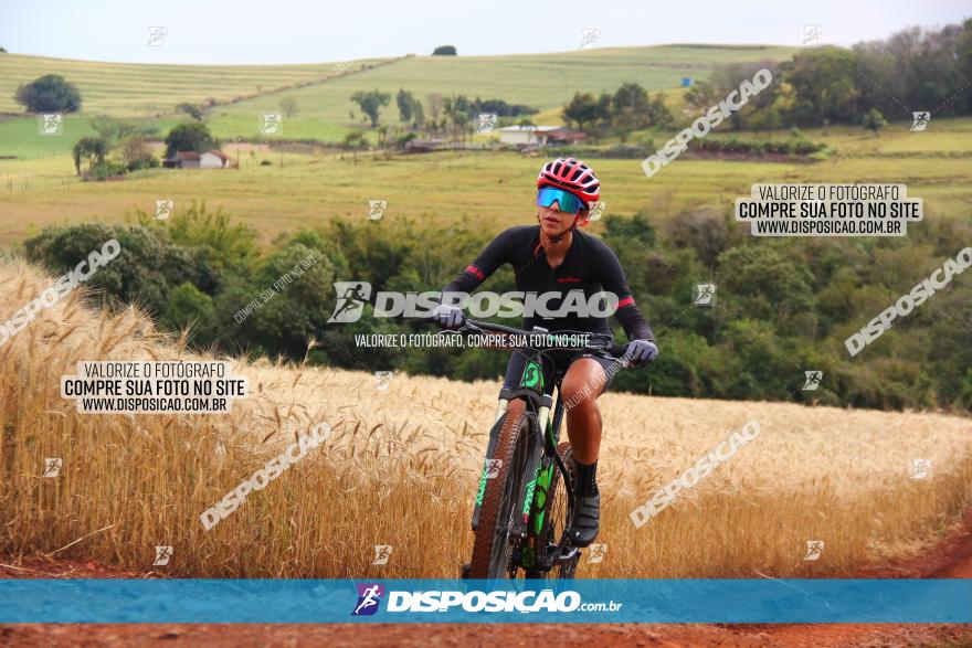 Circuito Regional de MTB - 3ª Etapa - Marialva