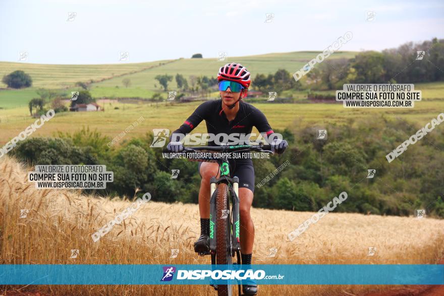 Circuito Regional de MTB - 3ª Etapa - Marialva