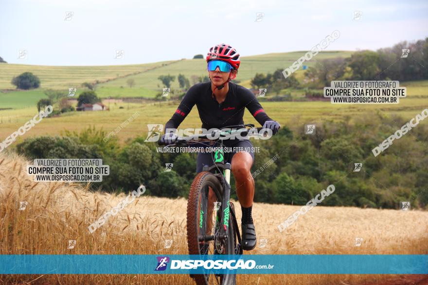 Circuito Regional de MTB - 3ª Etapa - Marialva