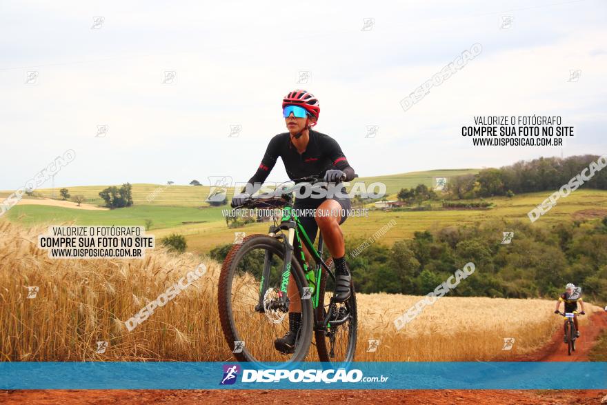 Circuito Regional de MTB - 3ª Etapa - Marialva