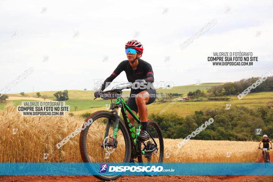 Circuito Regional de MTB - 3ª Etapa - Marialva