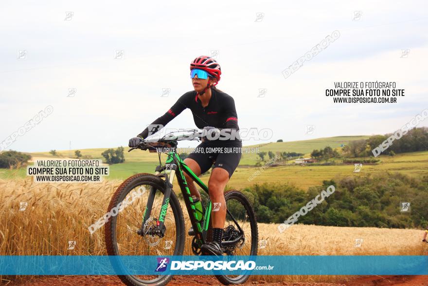 Circuito Regional de MTB - 3ª Etapa - Marialva