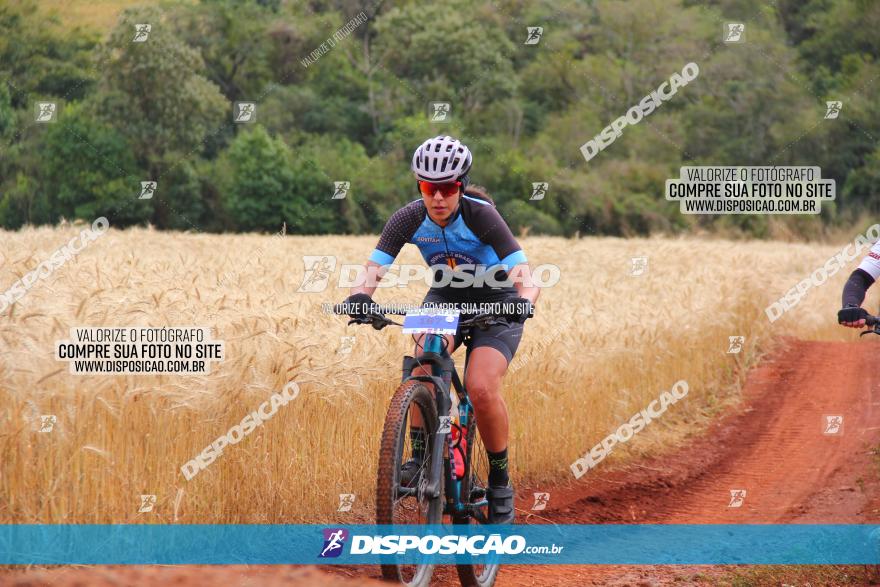 Circuito Regional de MTB - 3ª Etapa - Marialva