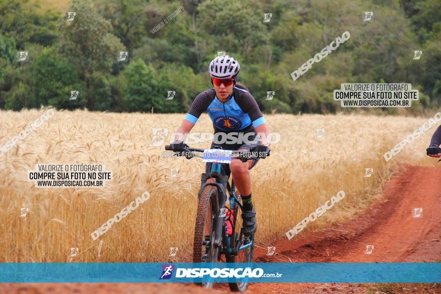 Circuito Regional de MTB - 3ª Etapa - Marialva