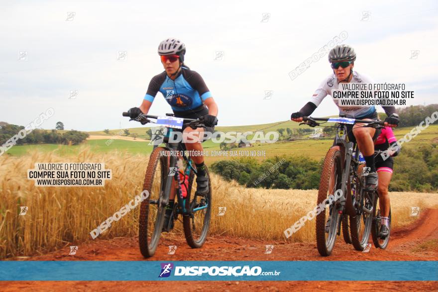 Circuito Regional de MTB - 3ª Etapa - Marialva