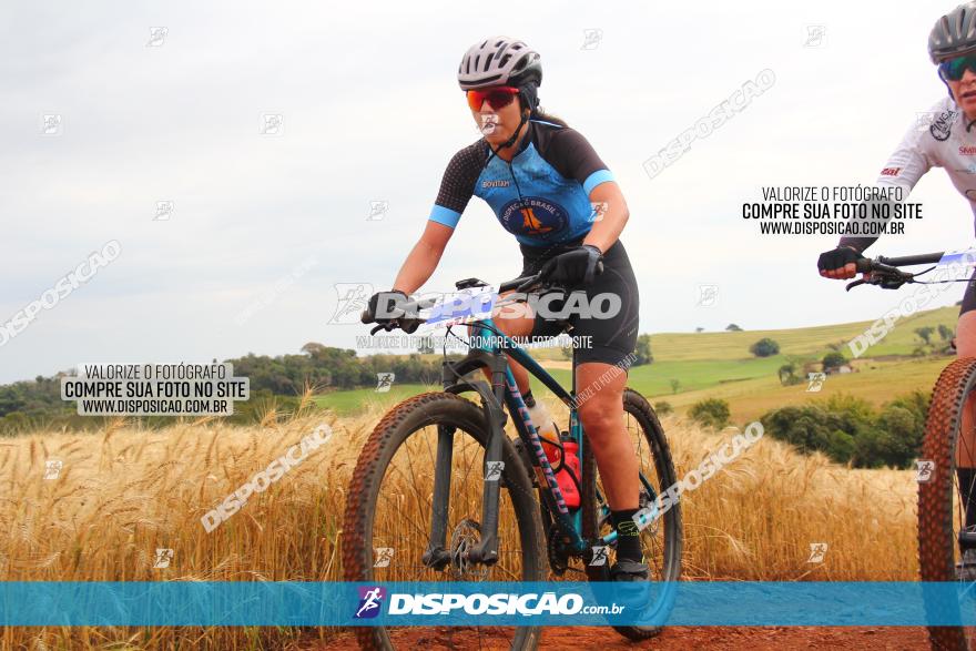 Circuito Regional de MTB - 3ª Etapa - Marialva