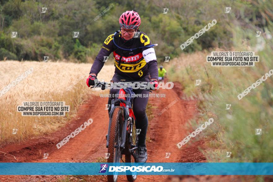 Circuito Regional de MTB - 3ª Etapa - Marialva