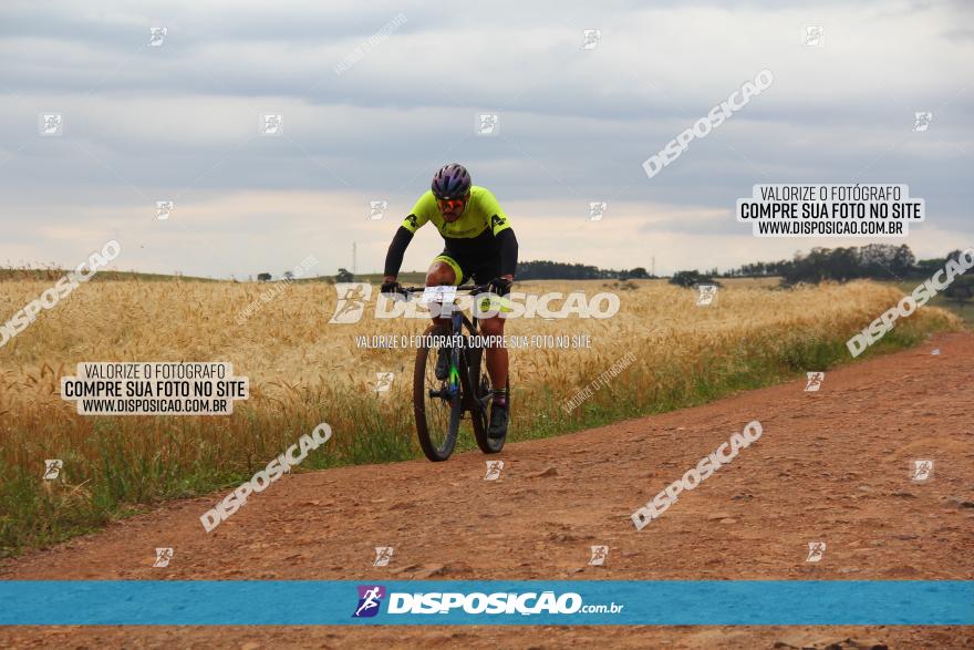 Circuito Regional de MTB - 3ª Etapa - Marialva