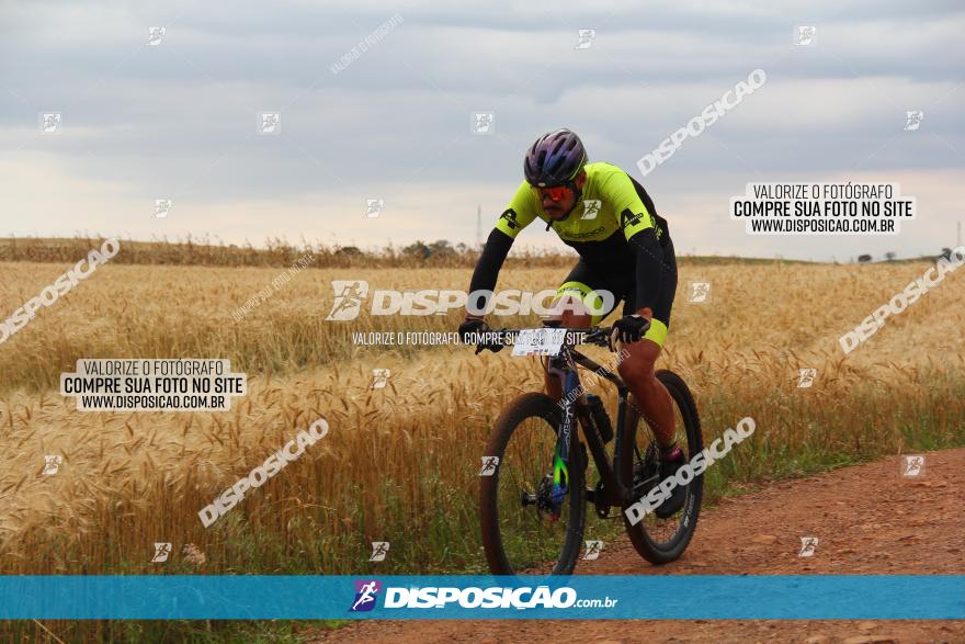 Circuito Regional de MTB - 3ª Etapa - Marialva