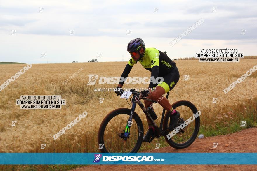 Circuito Regional de MTB - 3ª Etapa - Marialva