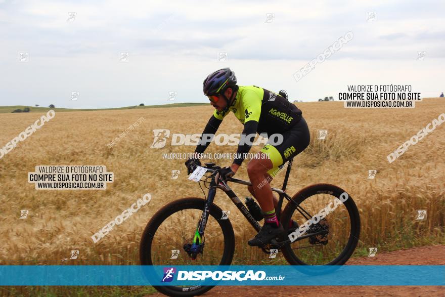 Circuito Regional de MTB - 3ª Etapa - Marialva