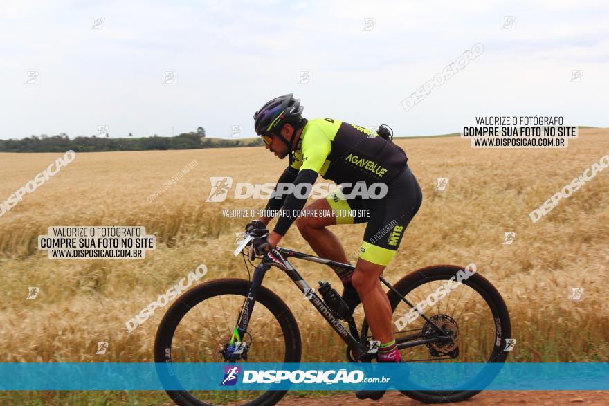 Circuito Regional de MTB - 3ª Etapa - Marialva