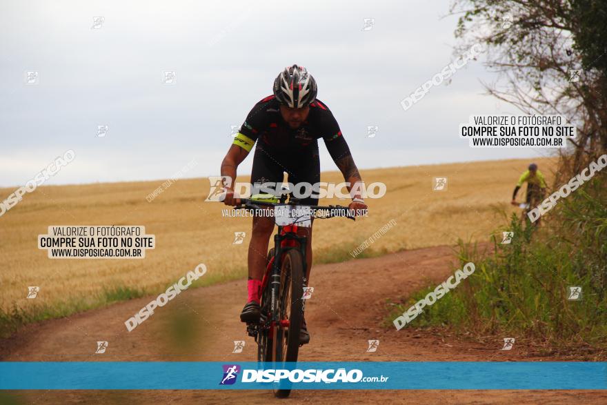 Circuito Regional de MTB - 3ª Etapa - Marialva