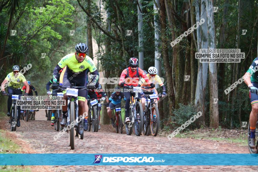 Circuito Regional de MTB - 3ª Etapa - Marialva