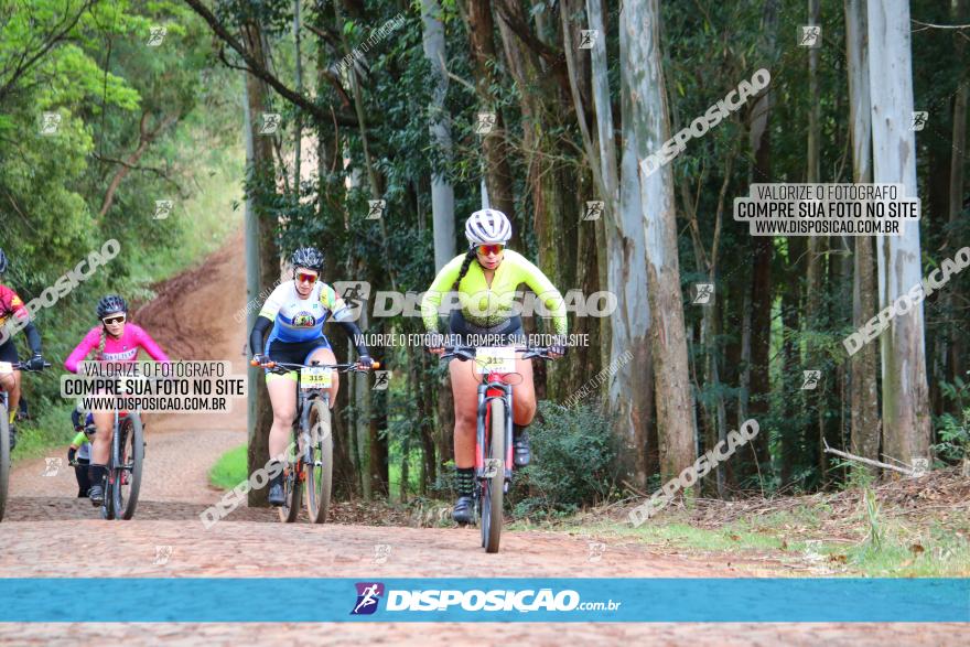 Circuito Regional de MTB - 3ª Etapa - Marialva