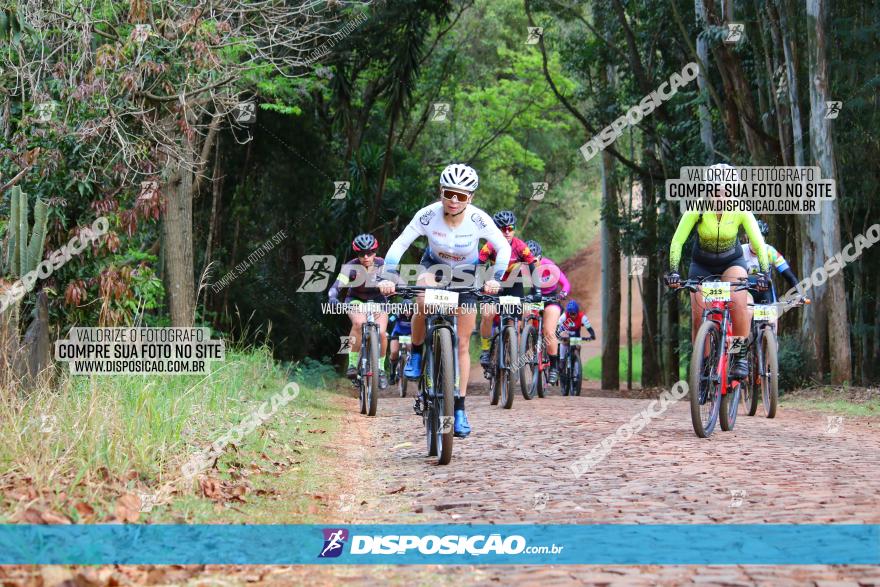 Circuito Regional de MTB - 3ª Etapa - Marialva