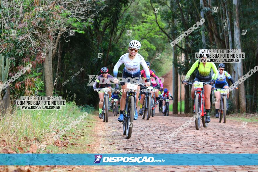 Circuito Regional de MTB - 3ª Etapa - Marialva