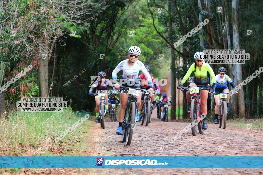 Circuito Regional de MTB - 3ª Etapa - Marialva