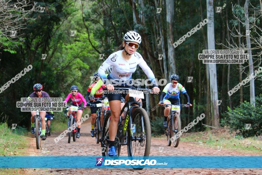 Circuito Regional de MTB - 3ª Etapa - Marialva