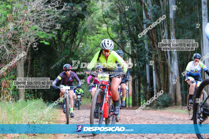 Circuito Regional de MTB - 3ª Etapa - Marialva