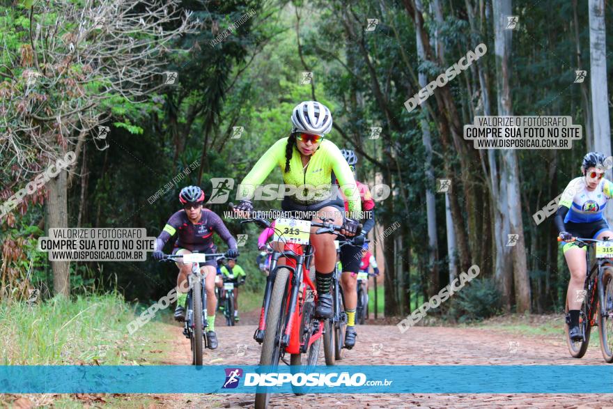 Circuito Regional de MTB - 3ª Etapa - Marialva