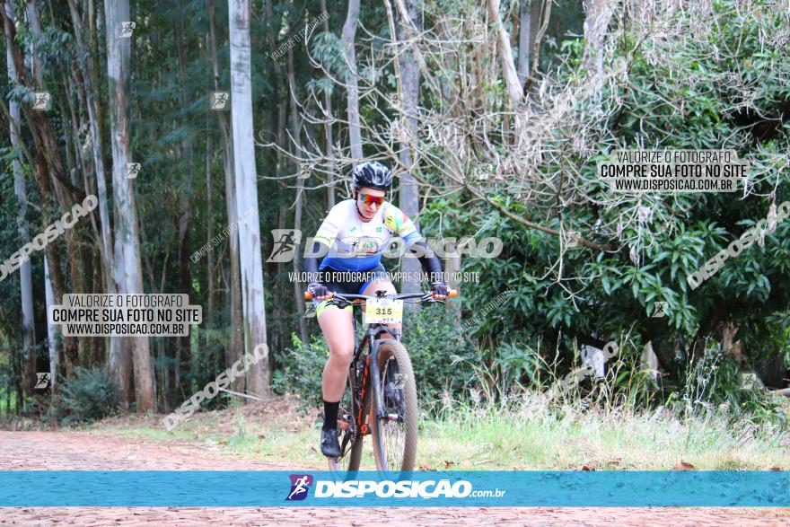 Circuito Regional de MTB - 3ª Etapa - Marialva