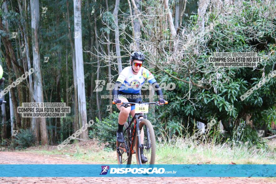 Circuito Regional de MTB - 3ª Etapa - Marialva