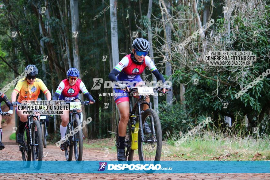 Circuito Regional de MTB - 3ª Etapa - Marialva