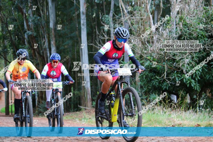 Circuito Regional de MTB - 3ª Etapa - Marialva