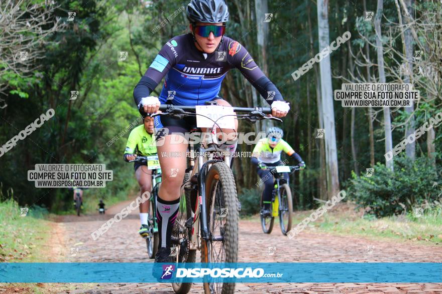 Circuito Regional de MTB - 3ª Etapa - Marialva