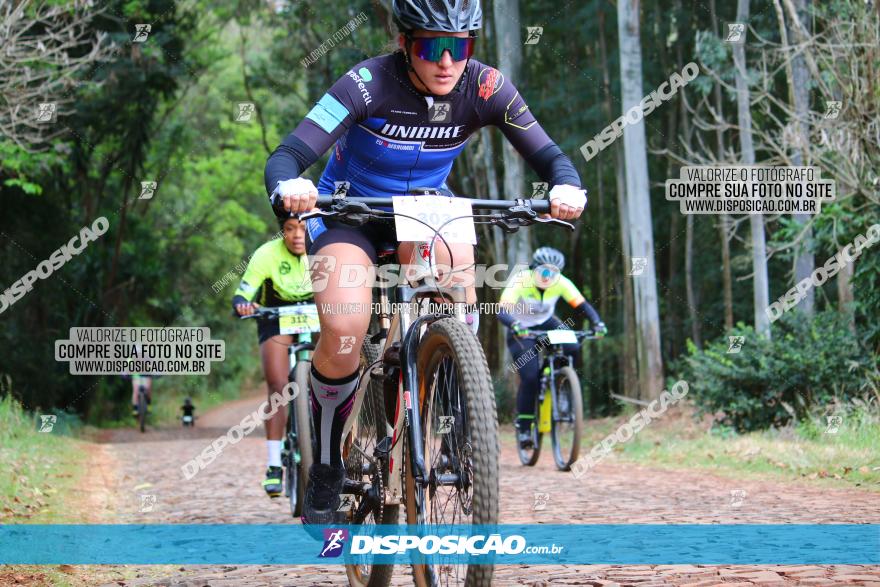 Circuito Regional de MTB - 3ª Etapa - Marialva