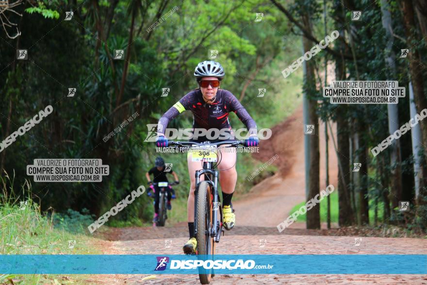 Circuito Regional de MTB - 3ª Etapa - Marialva