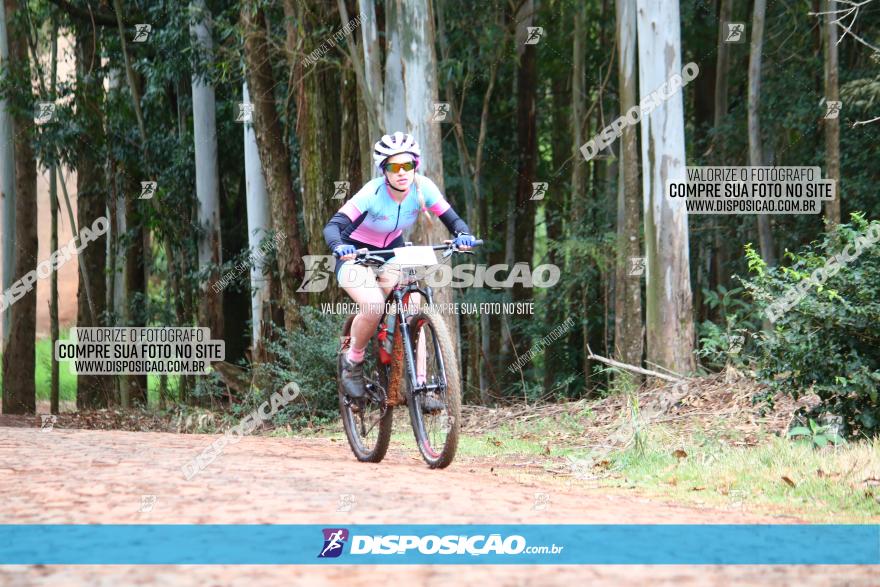 Circuito Regional de MTB - 3ª Etapa - Marialva