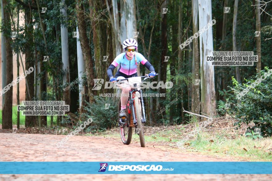 Circuito Regional de MTB - 3ª Etapa - Marialva