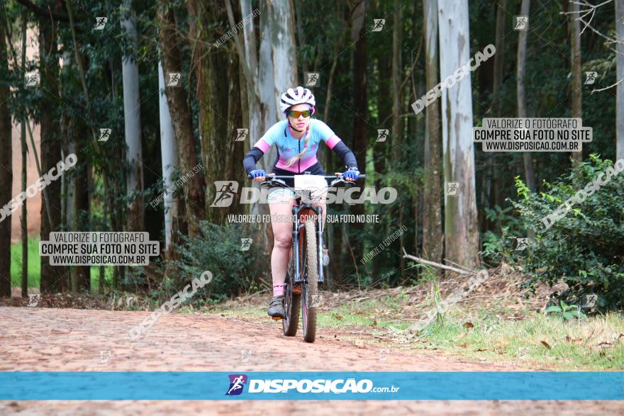 Circuito Regional de MTB - 3ª Etapa - Marialva