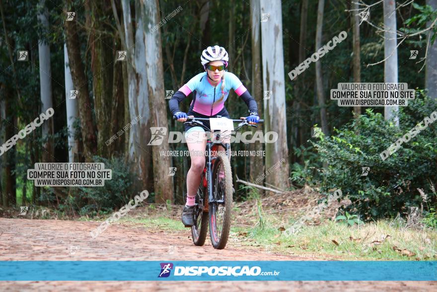 Circuito Regional de MTB - 3ª Etapa - Marialva