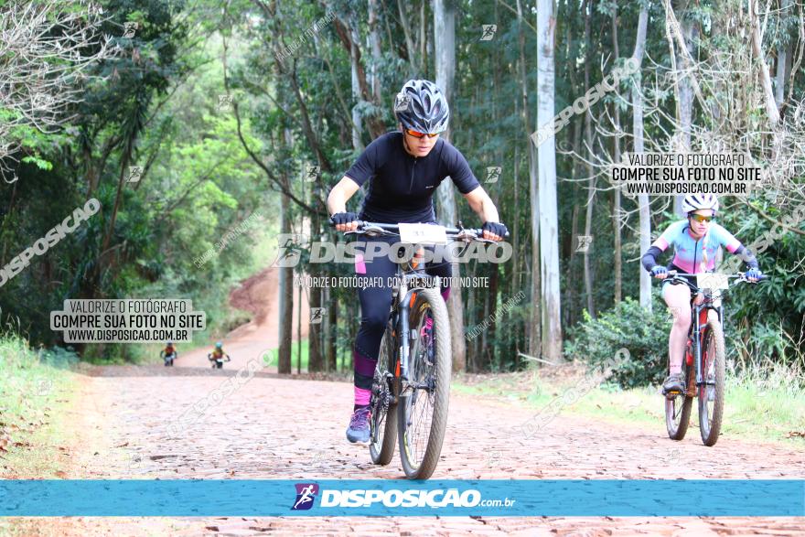 Circuito Regional de MTB - 3ª Etapa - Marialva