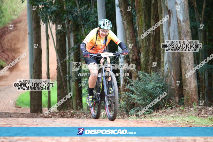 Circuito Regional de MTB - 3ª Etapa - Marialva