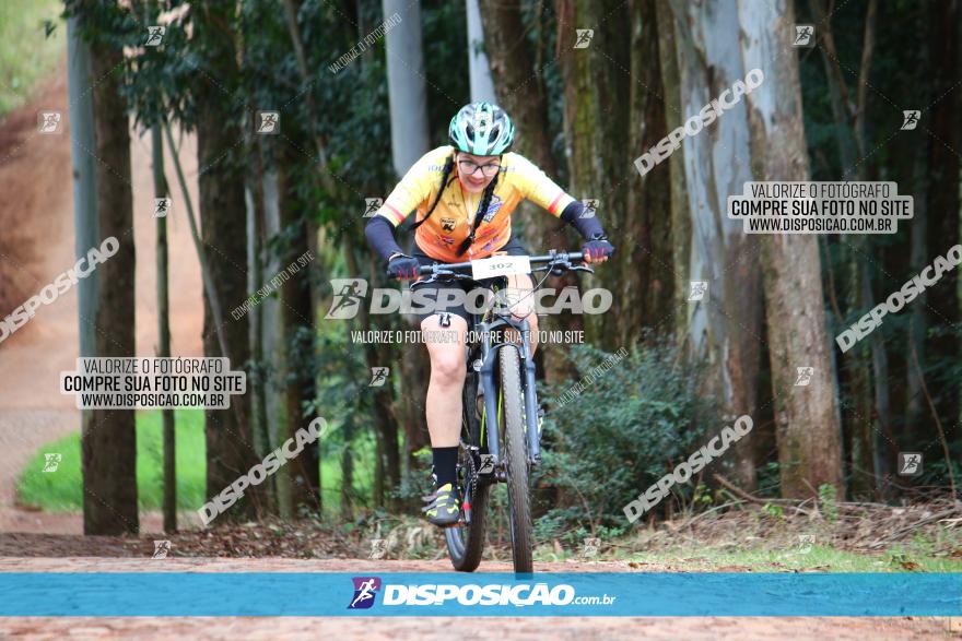 Circuito Regional de MTB - 3ª Etapa - Marialva