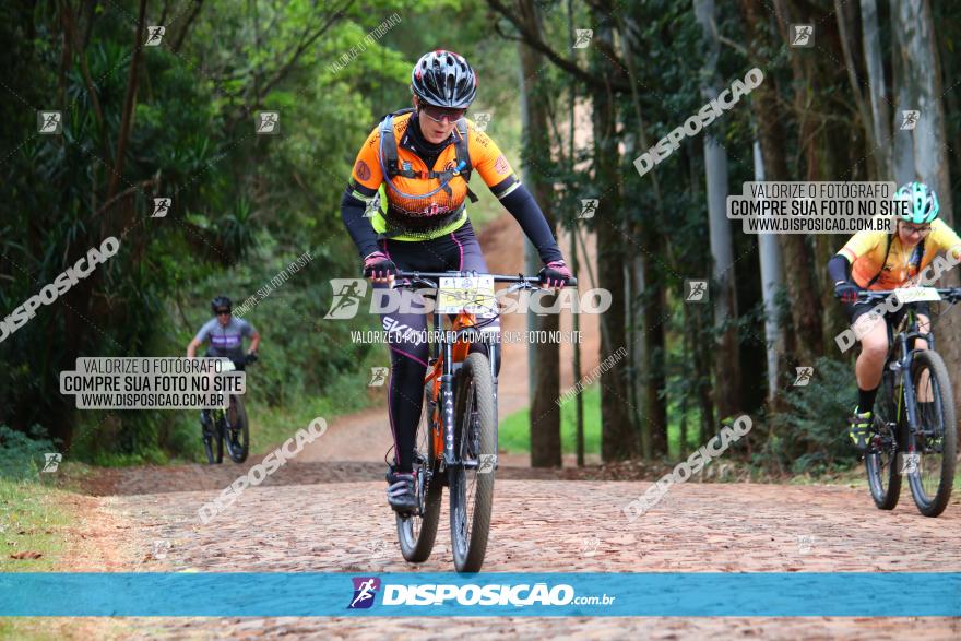 Circuito Regional de MTB - 3ª Etapa - Marialva