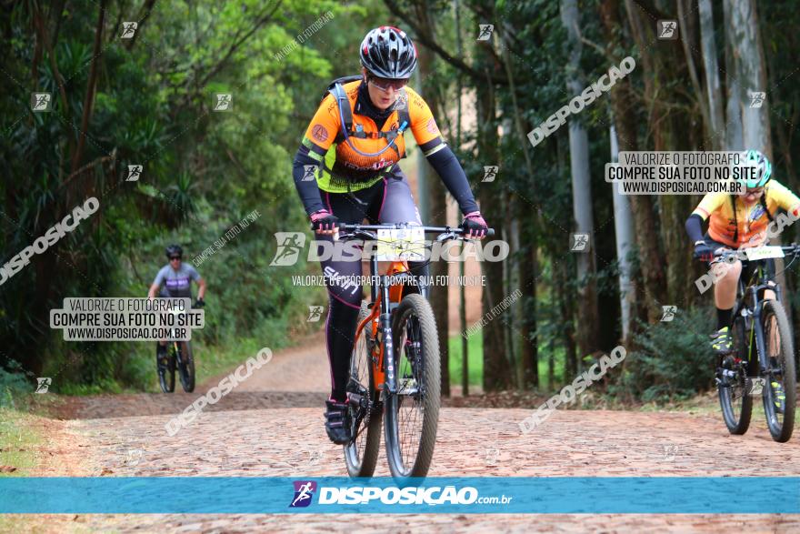 Circuito Regional de MTB - 3ª Etapa - Marialva