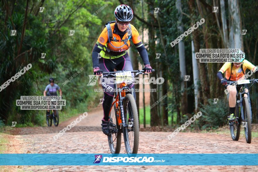 Circuito Regional de MTB - 3ª Etapa - Marialva