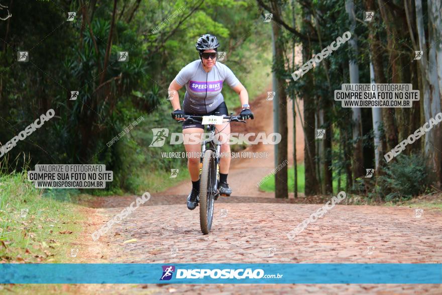 Circuito Regional de MTB - 3ª Etapa - Marialva