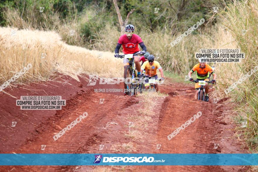 Circuito Regional de MTB - 3ª Etapa - Marialva