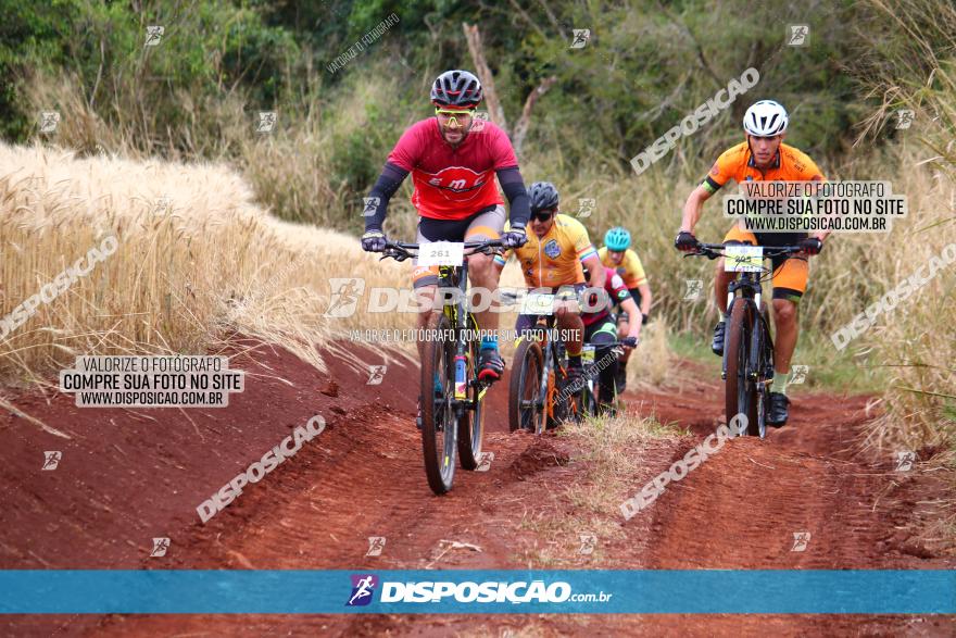 Circuito Regional de MTB - 3ª Etapa - Marialva