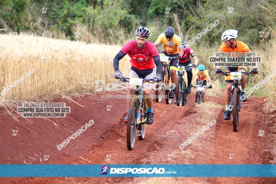 Circuito Regional de MTB - 3ª Etapa - Marialva