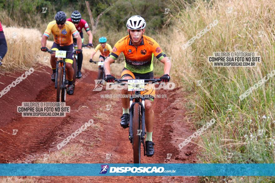 Circuito Regional de MTB - 3ª Etapa - Marialva