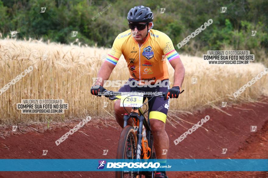 Circuito Regional de MTB - 3ª Etapa - Marialva