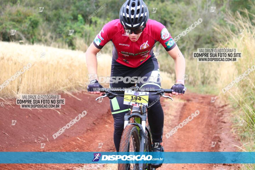 Circuito Regional de MTB - 3ª Etapa - Marialva