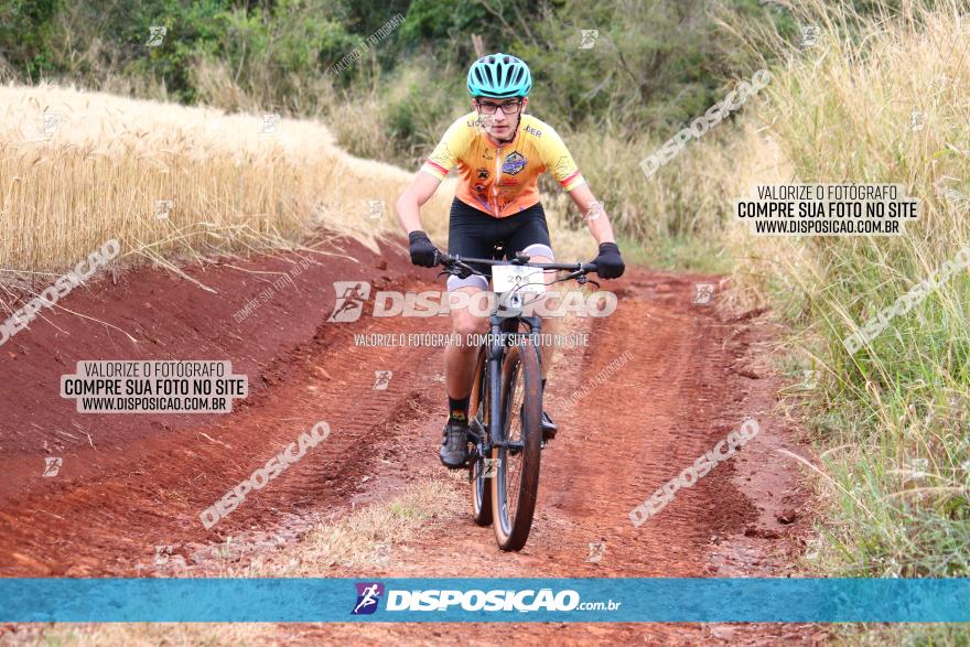 Circuito Regional de MTB - 3ª Etapa - Marialva